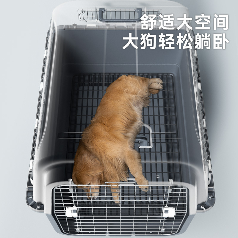 Caja de transporte de perros de mascotas, caja de transporte de perros, jaula de gato y perro, transporte de perros grandes, cabello dorado para China Airlines.
