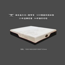 Ӣ���ߠ���S30AI�ʘ����ܴ��|�๦�ܴ��|��ȫ���������|