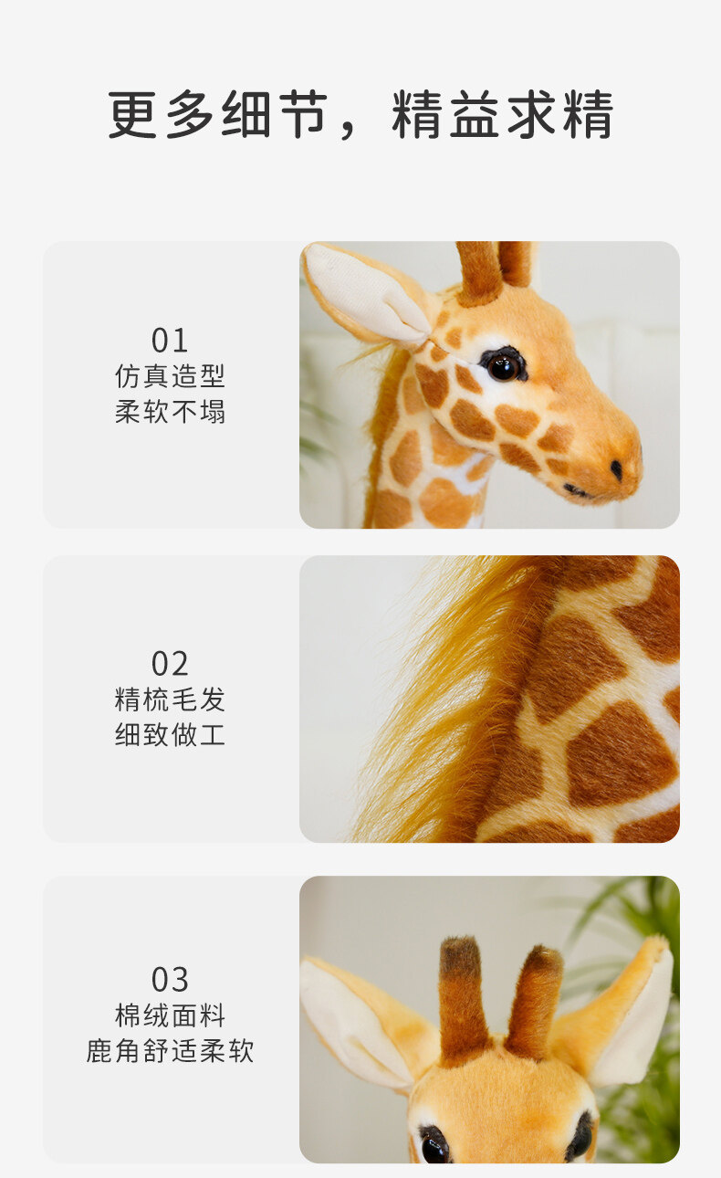 详情图