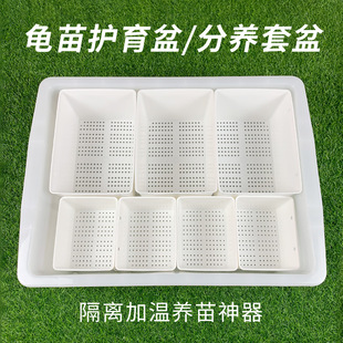 Turtle Hatchling Care Pot Set Turtle Egg Turtle Hatchling Isolation Black and White Hair Color Box Fish Tank Heating Breeding Incubation Box