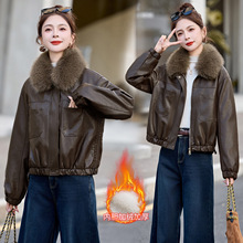 2025�ﶬ�¿��Ƥ��Ů�̿��ﶬ���ӽq�n����|�C܇����A������