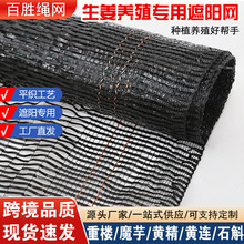 平织遮阳网 生姜种植厂家抗老化大棚专用花卉果蔬羊肚菌 种植育苗