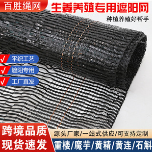 Ginger Planting Plain Weave Sunshade Net Anti-Aging Greenhouse Special Flower Fruit and Vegetable Morel Planting and Seedling Cultivation