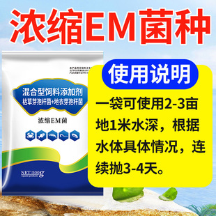 500�˝�sEM���~�rзˮ�a�Bֳ����