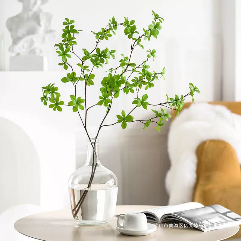 Лошадь зеленая посадка японских подвесных колокольчиков