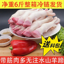 �������r��������r���^�F���r��ɽ�������_�������Ŏ������s���l