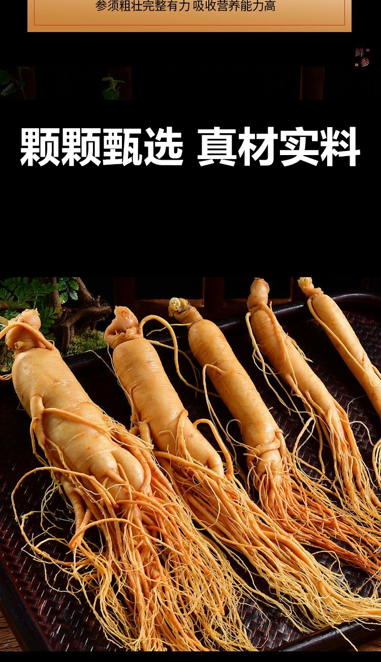 Fresh Changbai Mountain Ginseng Ren Shen Whole Root for Wine Infusion and Soup Making Gift Box specifications
