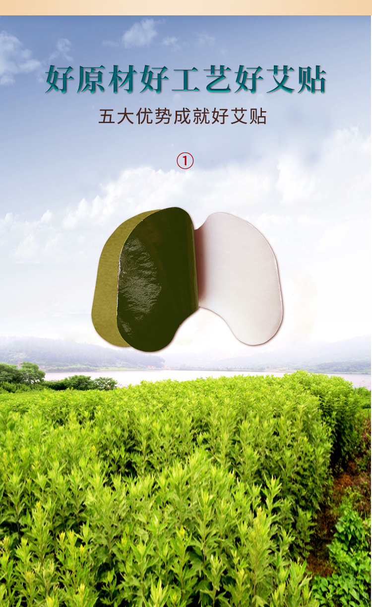 Yao Benren Mugwort Knee Patch Butterfly Shape Herbal Knee Support Patch 12 Patches Per Box quality and texture