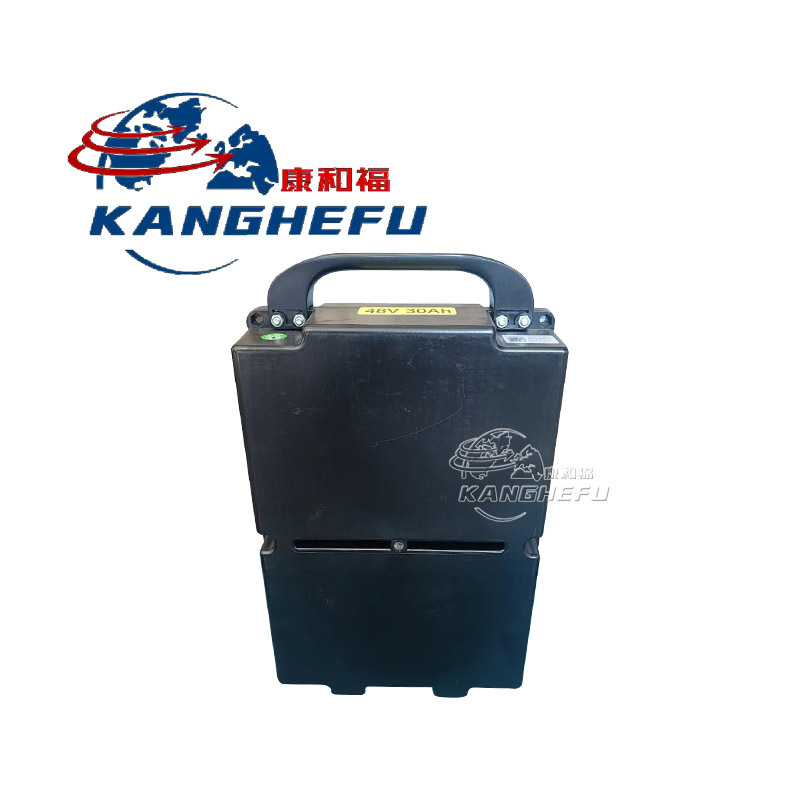 11674241011锂电池3