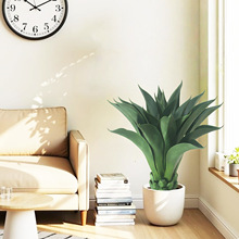 ����ʹ��m���滢Ƥ�m���W����Gֲ���S���m�쾰����ֲ������b�