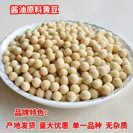 豆类;糯米;玉米