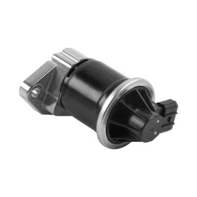 EGR valve Other starting systems