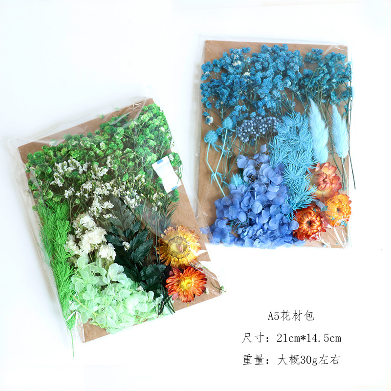 Floating Flower Dried Flower Eternal Flower DIY Epoxy Aromatherapy Candle Photo Frame Kindergarten Handmade A5 Pressure Embossing Material Package