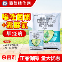 生农 收悦 52.5%噁唑菌酮霜脲氰番茄早疫病农药杀菌剂100g1kg
