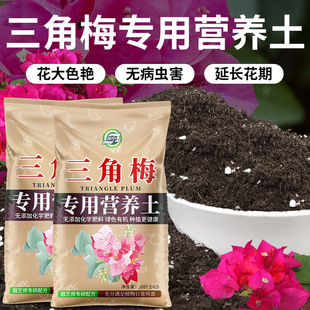 Bougainvillea nutrition soil flower soil flowering soil potted organic soil planting soil fertilizer