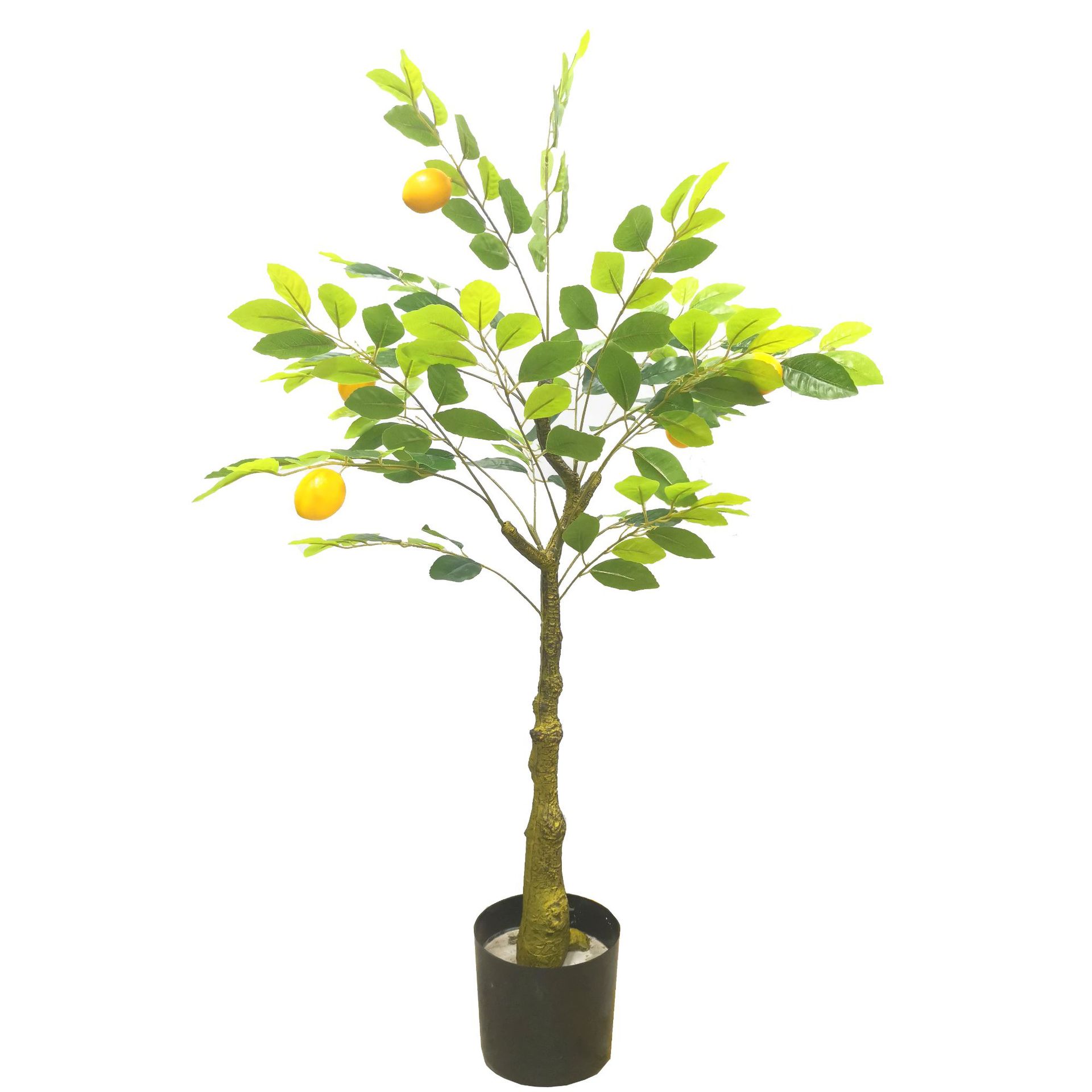 Simulación de limonero en maceta lemonTree Bonsai interior plástico pequeño árbol frutal planta verde Simulación de limonero