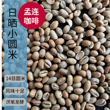 孟连厌氧日晒小圆米酒香咖啡生豆14目商用三级咖啡豆云南普洱批发