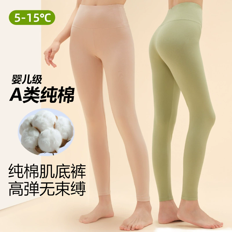 A类现货纯棉秋裤女内穿薄款春秋学生保暖裤高腰女士新款工厂批发