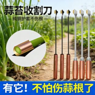 蒜苔收割刀