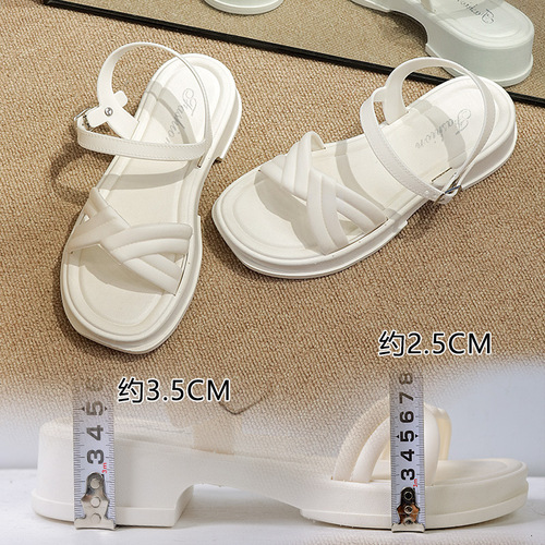 Women's Summer External Wear High-End Style Super Hot Sandals with Thick Soles and One Straps