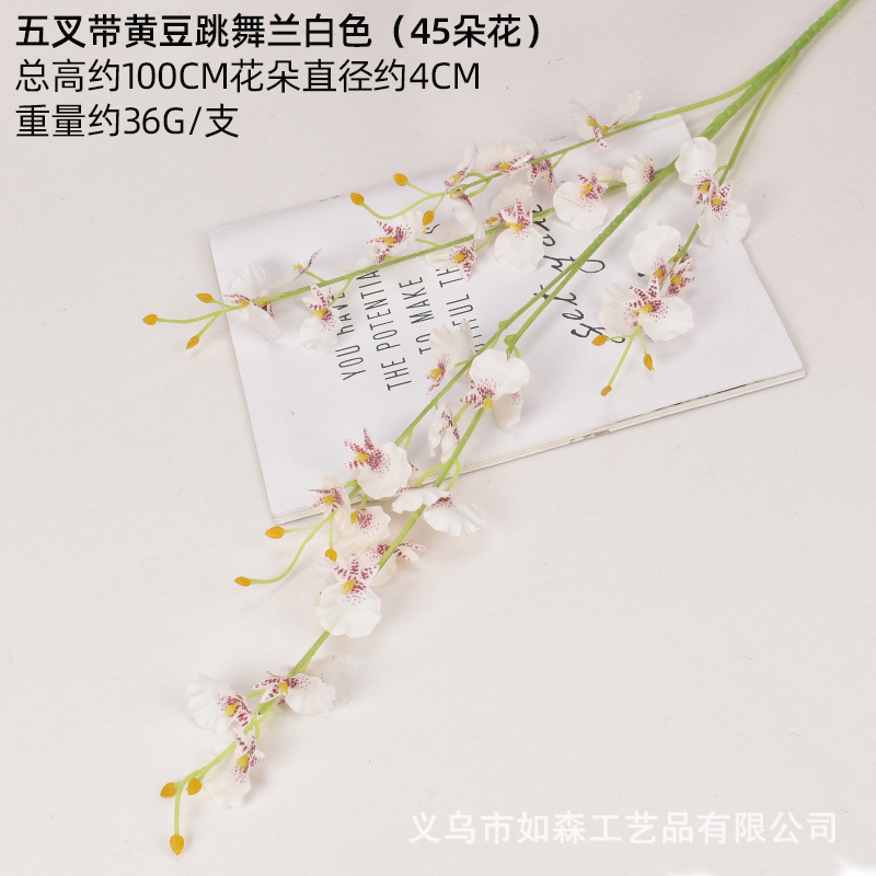 Cinco puntas con soja bailando azul blanco