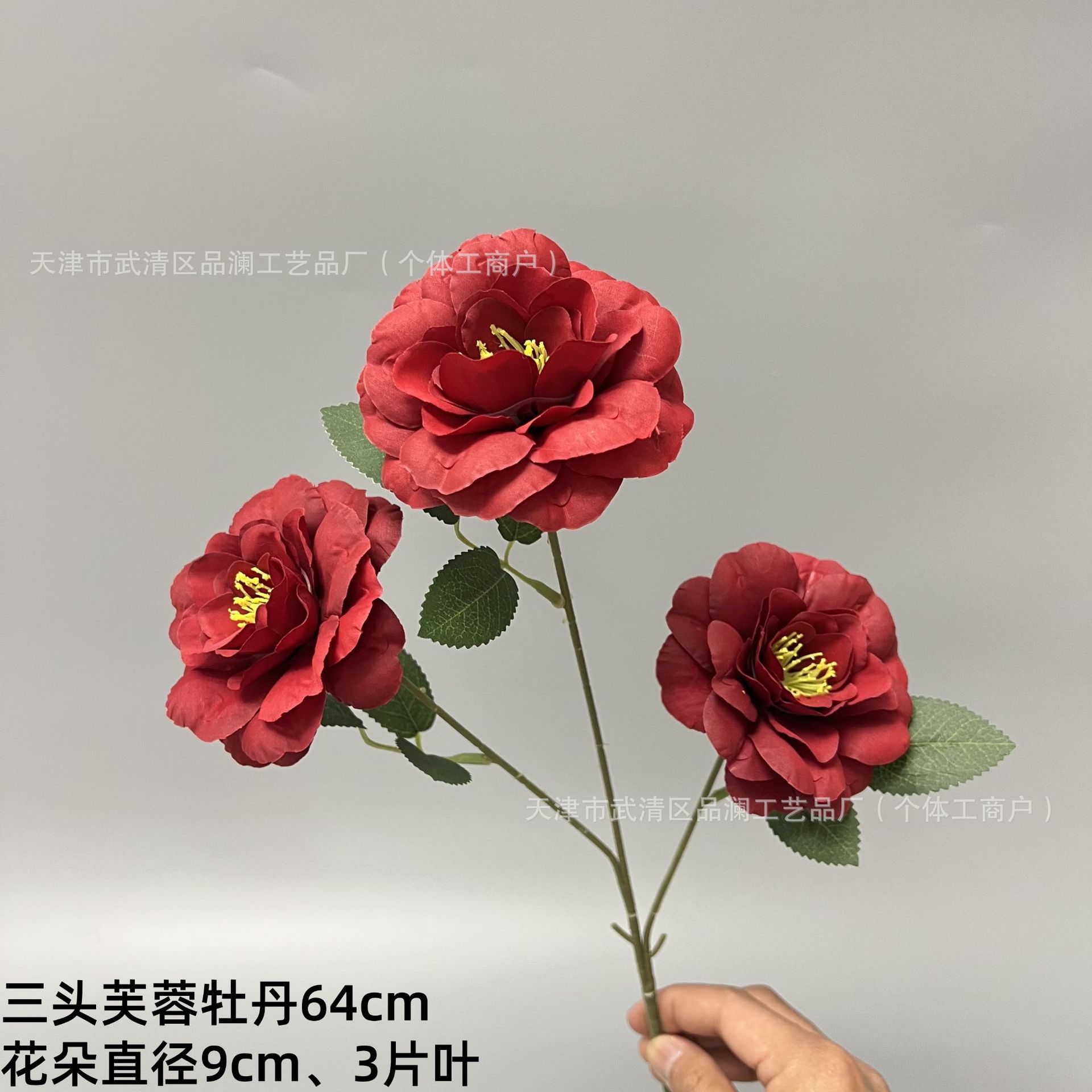 세 머리 무궁화 모란