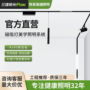 Three male aurora magnetic track lamp creative embedded borderless living room without main lamp open-mounted magnetic guide track lamp