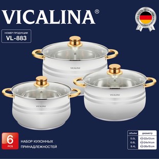 Vicalina Stainless Steel Pot Set 12 Pieces Set Pot Vl-883 Thickeneded Soup Pot Milk 6 Pcs /Set