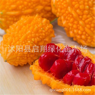 ��ƷС�]�ϷN��ه���ѷN�ѽ���Ӱ]���S����ˮ���������ٷN��