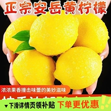 当季现摘安岳黄柠檬鲜果薄皮柠檬果柠檬新鲜柠檬整箱奶茶店非无籽
