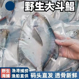 水产干货类;鱼类;鲜活水产