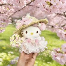 ���洺�ՄP��؈HelloKittyë�q������ɐ�KT��Ů�ĶY��耳׿���ż