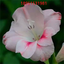 ������˽��N��ˮ�����˽����������˽���ˮ��ֲ��N�����˽��N��