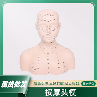 Skin management head model beauty salon dummy head model facial acupoint massage technique exercise model head