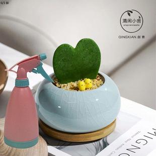 A Piece of Heart Succulent Small Potted Office Creative Gift Indoor Shade-Tolerant Green Plant Radiation-Proof and Easy to Maintain Desktop Plant