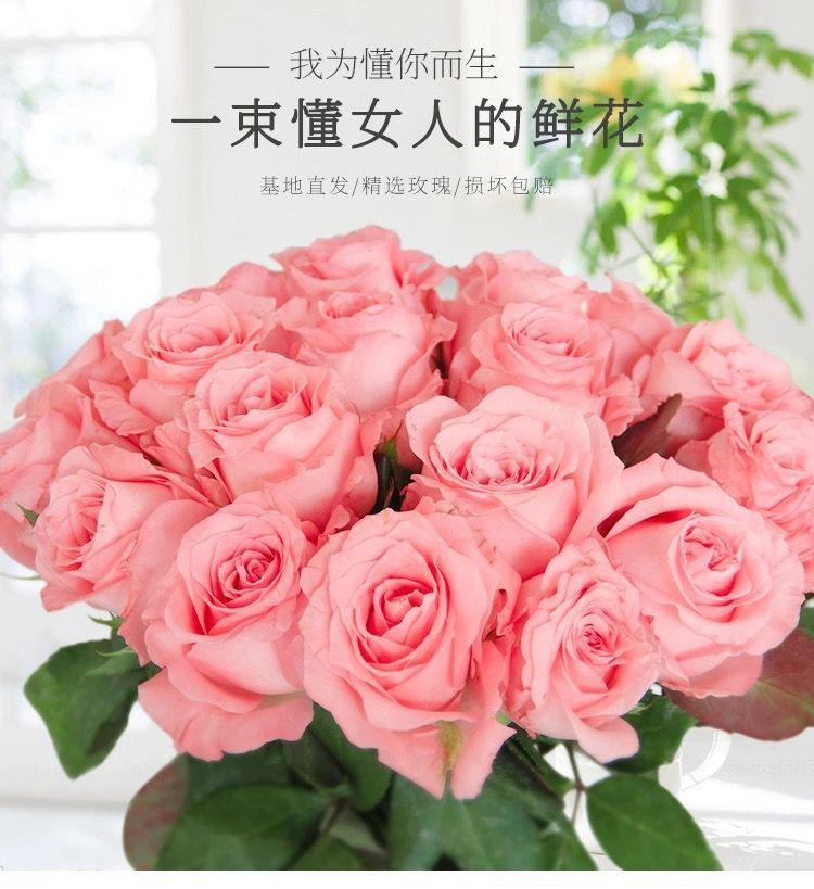 f3186862-52eb-4657-8b0a-dbb3e92afe0f.jpe