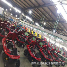 座驾式割草机 乘坐式汽油带收集割草机 汽油草坪修剪车 图片 参数