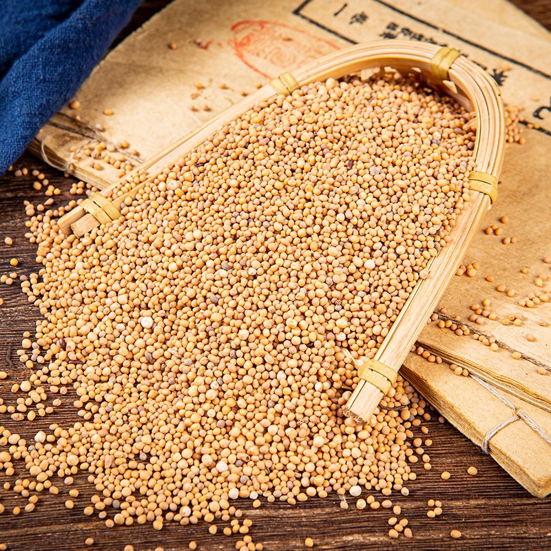 White Mustard Seed Bai Jie Zi 500g Dried Sinapis Alba Seeds Raw Herb for Traditional Decoctions key features