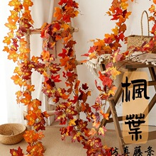 ���~�ٗl����ֲ���ړ��̨���{�ܵ��b������٘��~�p�@
