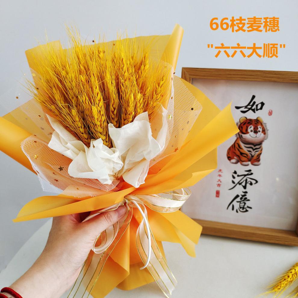 0f3e90c6-bb04-42de-bf35-2177e6390e0a.jpe