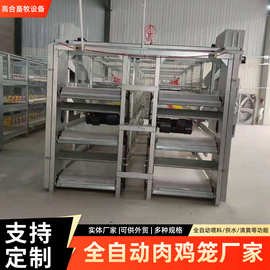 全自动框架肉鸡笼半自动立体鸡舍镀锌自动除粪养殖养鸡笼子外贸