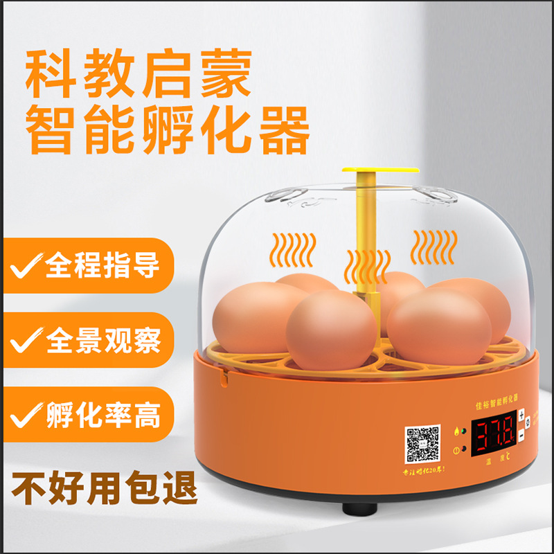 Mini 4 unidades 6 unidades incubadora de pollo pequeño hogar ciencia y educación incubadora transfronteriza inteligente incubadora automática