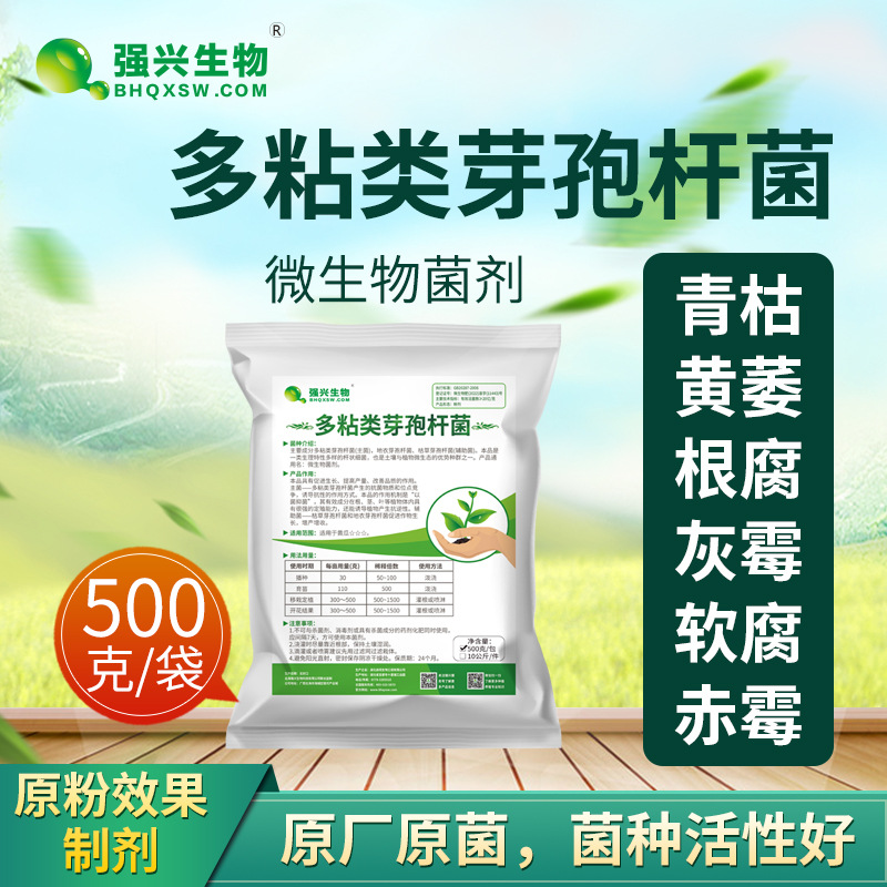多粘类芽孢杆菌死苗青枯黄萎烂根青枯病软腐有机种植有机肥抗重茬