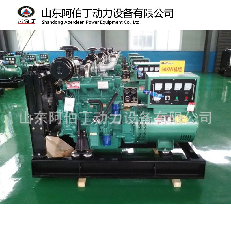 潍坊厂家供应柴油发电机组50千瓦东北三省养殖灌溉用现场安装
