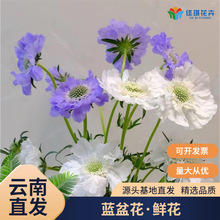 ���r�{�軨�r�����廨�r�л��滨��Y����������С���������ֱ�l