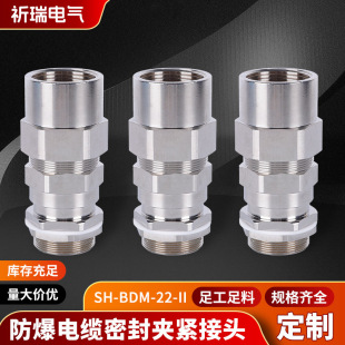 不銹鋼鎧裝雙密封填料函SH-BDM-22-II防爆格蘭頭電纜固定頭