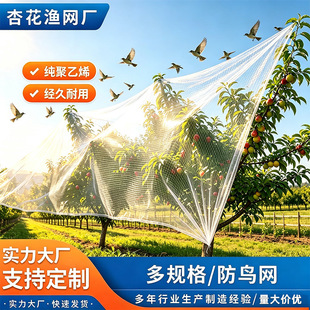 ���B�W�߲˙��Ҙ���o�W����ϩ�����W�����Bֳ���÷��ӾW�����W