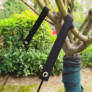 Cross-border hot-selling windbreak tree belt tree nursery new planting seedling windbreak setting belt multi-functional strap