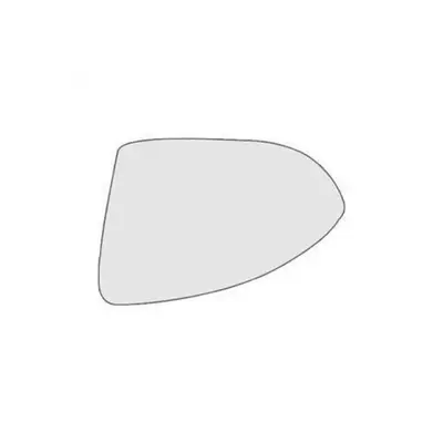 Rearview mirror/rearview mirror – Turn Signal Light with Paint - lens-passenger-side-right