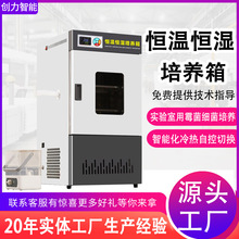 �a�ؐa�����B�䌍�����ù������΢�������N������������ԇ���